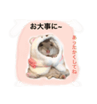 ブルーサファイアののんちゃま（個別スタンプ：30）