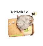 ブルーサファイアののんちゃま（個別スタンプ：37）