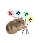 ブルーサファイアののんちゃま（個別スタンプ：40）