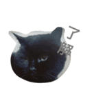 いぬとねこたち（個別スタンプ：21）