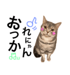 がじおも☆すたんぷ（個別スタンプ：3）