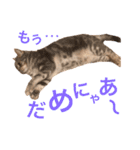 がじおも☆すたんぷ（個別スタンプ：9）