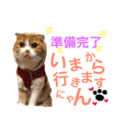 がじおも☆すたんぷ（個別スタンプ：11）