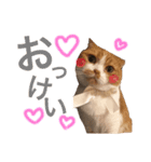 がじおも☆すたんぷ（個別スタンプ：16）