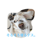 ラルフ＆あくび（個別スタンプ：2）