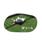 ラルフ＆あくび（個別スタンプ：8）