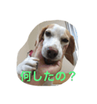 ラルフ＆あくび（個別スタンプ：10）