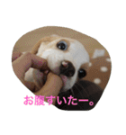 ラルフ＆あくび（個別スタンプ：13）