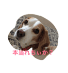 ラルフ＆あくび（個別スタンプ：14）