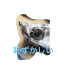 ラルフ＆あくび（個別スタンプ：18）