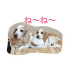 ラルフ＆あくび（個別スタンプ：19）