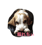 ラルフ＆あくび（個別スタンプ：20）