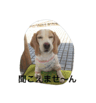 ラルフ＆あくび（個別スタンプ：23）