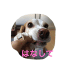 ラルフ＆あくび（個別スタンプ：25）