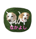 ラルフ＆あくび（個別スタンプ：26）
