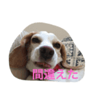 ラルフ＆あくび（個別スタンプ：27）