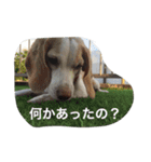 ラルフ＆あくび（個別スタンプ：29）