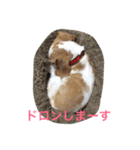 ラルフ＆あくび（個別スタンプ：30）