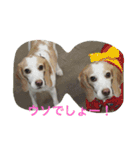 ラルフ＆あくび（個別スタンプ：31）