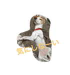 ラルフ＆あくび（個別スタンプ：39）