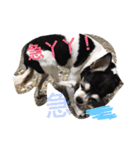 niou（個別スタンプ：14）