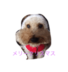 ふーたくん？2（個別スタンプ：3）