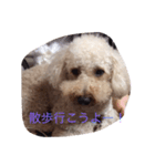 ふーたくん？2（個別スタンプ：8）