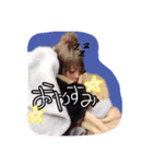 きなぽんすたんぷ（個別スタンプ：12）