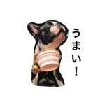 犬と過ごす日常生活（個別スタンプ：3）