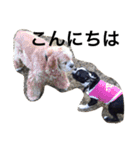 犬と過ごす日常生活（個別スタンプ：8）