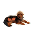 Huni coming！（個別スタンプ：2）
