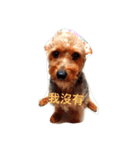 Huni coming！（個別スタンプ：4）