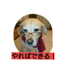 fallen Angel dog 6（個別スタンプ：3）