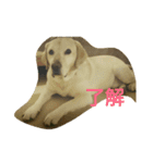 fallen Angel dog 6（個別スタンプ：7）