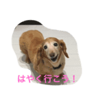 ほっこりスタンプ3（個別スタンプ：2）