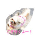 ほっこりスタンプ3（個別スタンプ：4）
