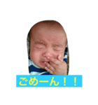 SAORInosutanpu（個別スタンプ：2）