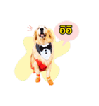 Auto Golden（個別スタンプ：13）