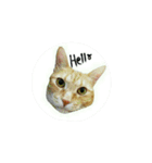 harry and tonto（個別スタンプ：12）