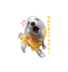 ちゃんみ（個別スタンプ：3）