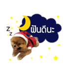 N'Mootoon（個別スタンプ：2）