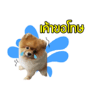 N'Mootoon（個別スタンプ：3）