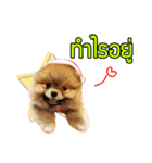 N'Mootoon（個別スタンプ：5）