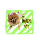 N'Mootoon（個別スタンプ：8）
