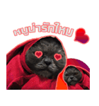 kingkongcat（個別スタンプ：3）