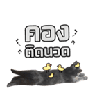 kingkongcat（個別スタンプ：10）