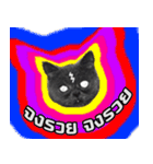 kingkongcat（個別スタンプ：19）