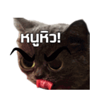 kingkongcat（個別スタンプ：23）