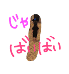family noga（個別スタンプ：10）
