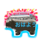 CLARISSE2（個別スタンプ：2）